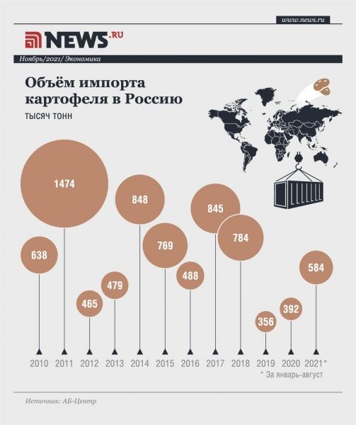 Чужой урожай: кто и зачем кормит Россию импортной картошкой